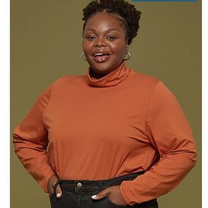 Tradlands Monty Turtleneck in Clay (M)- NWT!